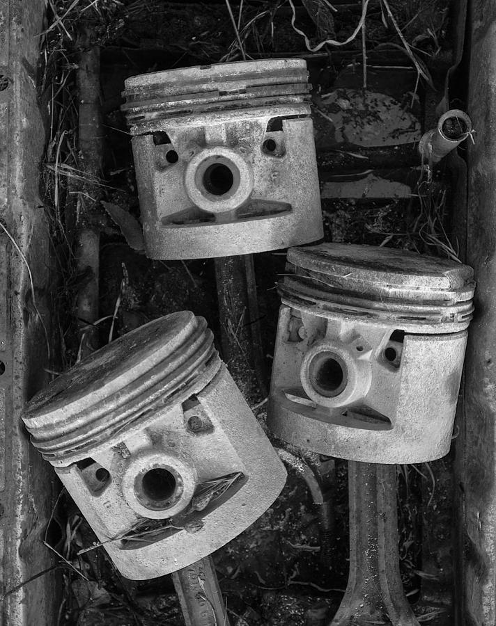 Three Pistons In A Pan Close Up Photograph by Paul DeRocker