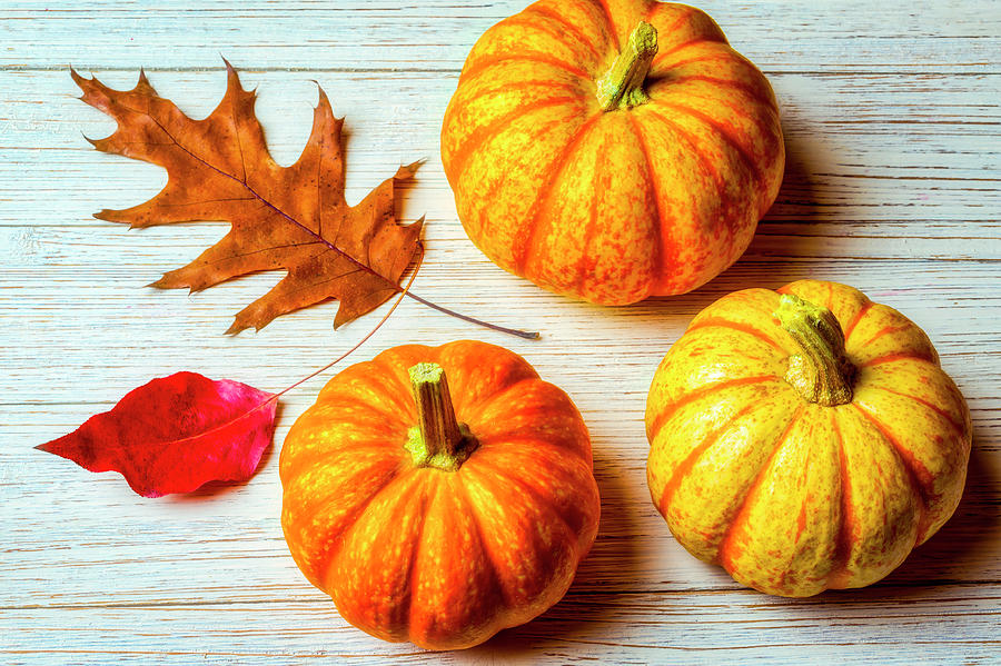 Three Pumpkins And Autumn Leaves Photograph by Garry Gay