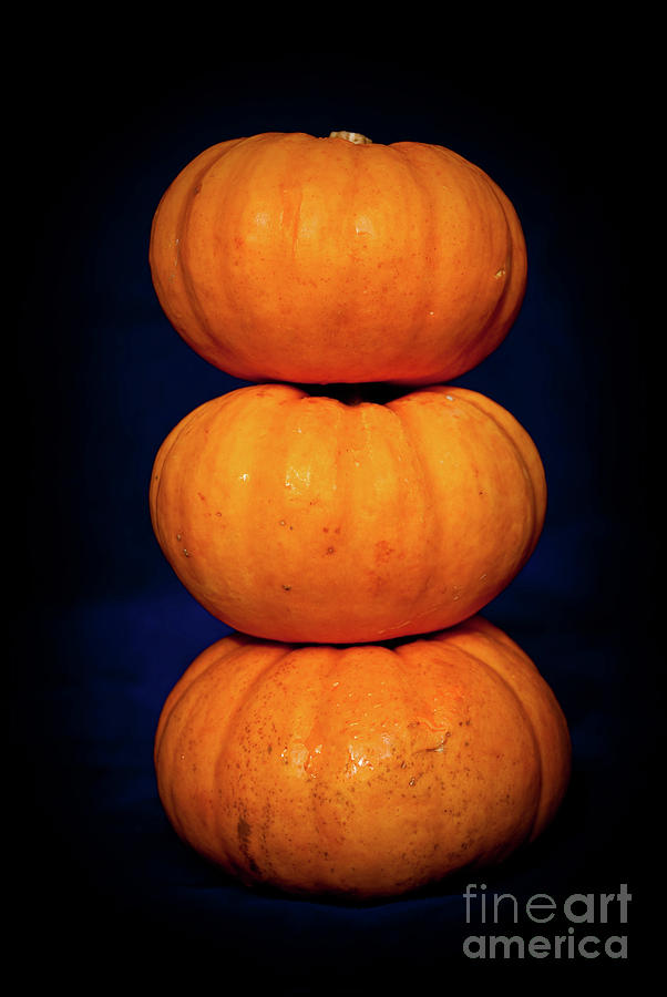 Three Pumpkins Photograph by Yurix Sardinelly