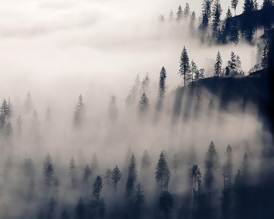 Three Ridges Fog Photograph by Jerry Sodorff