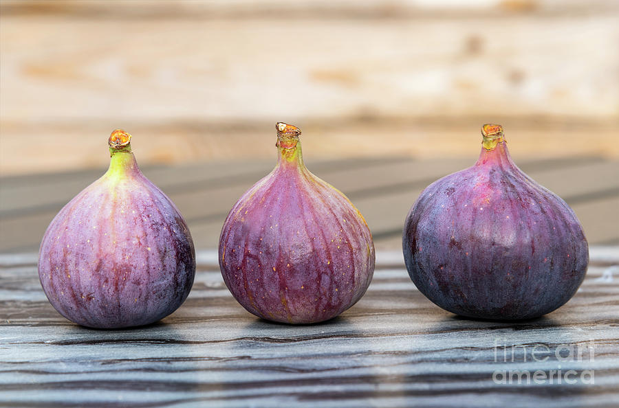 Three ripe figs Photograph by Sophie McAulay