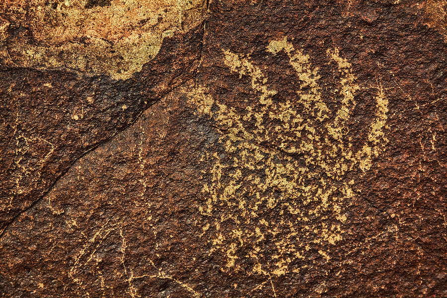 Three Rivers Petroglyphs Hand Photograph by Diana Powell