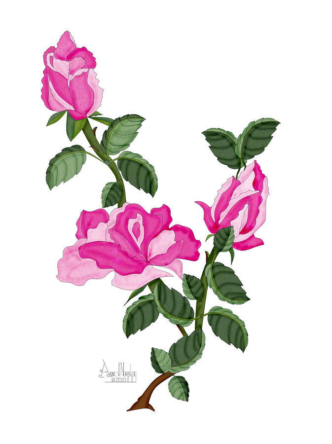 Roses Painting - Three Roses in the Garden by Anne Norskog Roses Painting - Three Roses in the Garden by Anne Norskog