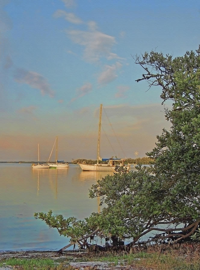 Three Sailboats At Rest  Photograph by HH Photography of Florida