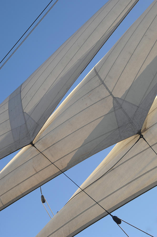 Three Sails Photograph by David Shuler