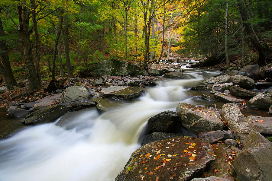 Three Seconds in Fall Photograph by Neil Shapiro