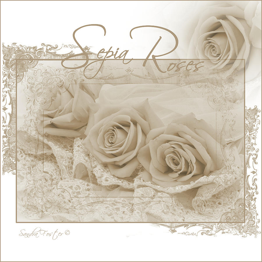 Three Sepia Roses  Photograph by Sandra Foster