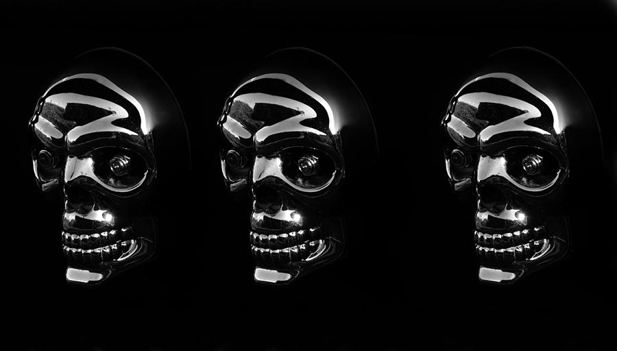 Three Skulls Photograph by David Lee Thompson