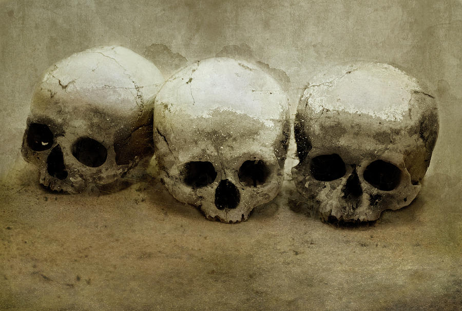 Three skulls Photograph by Jaroslaw Blaminsky