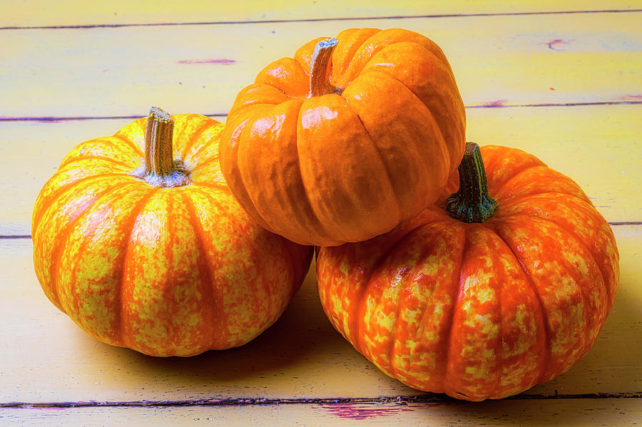 Three Small Pumpkins Photograph by Garry Gay
