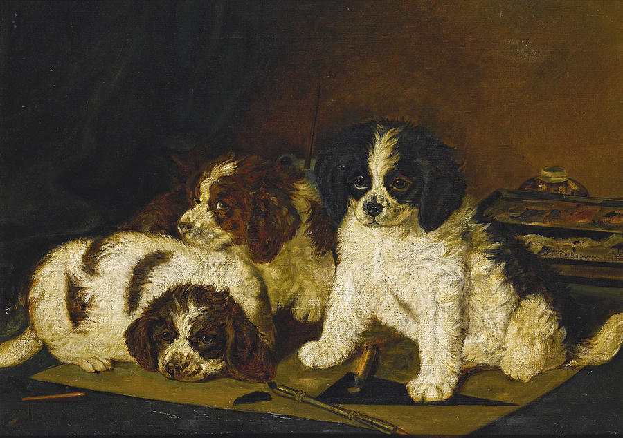 Three Spaniel Puppies Painting by English School