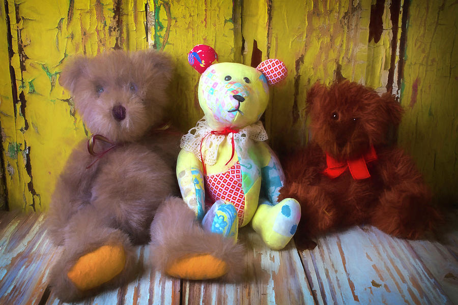 Three Special Bears Photograph by Garry Gay