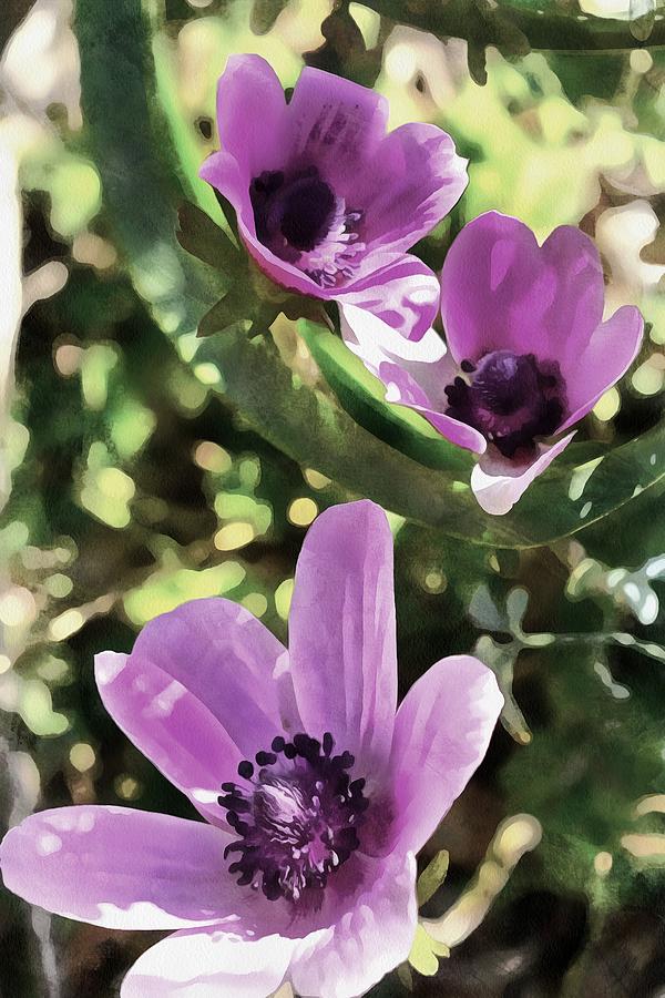 Three Spring Anemone Flowers Painting by Taiche Acrylic Art