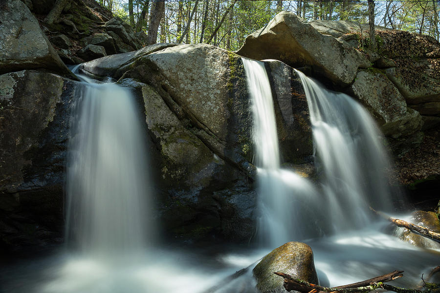 Three Streams Photograph by Brian Hale