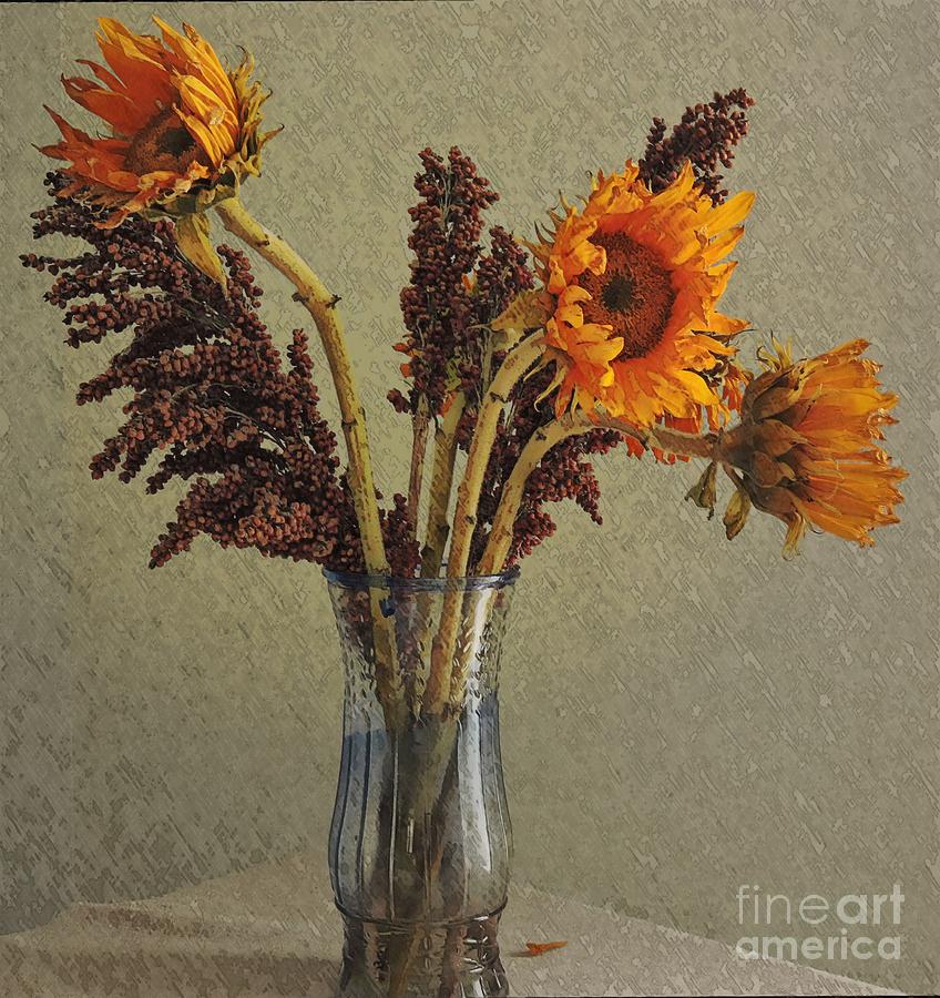  Three Sunflowers Photograph by Marcia Lee Jones