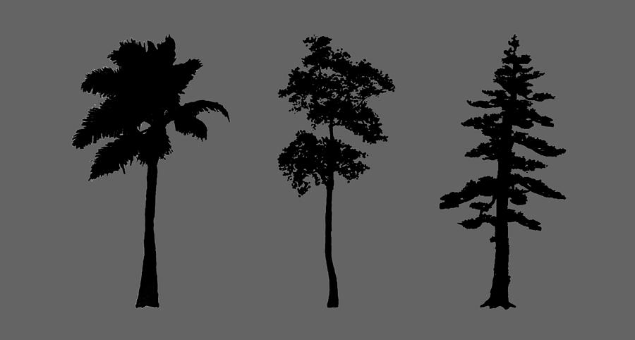 Three Tall Thin Trees Digital Art by Roy Pedersen