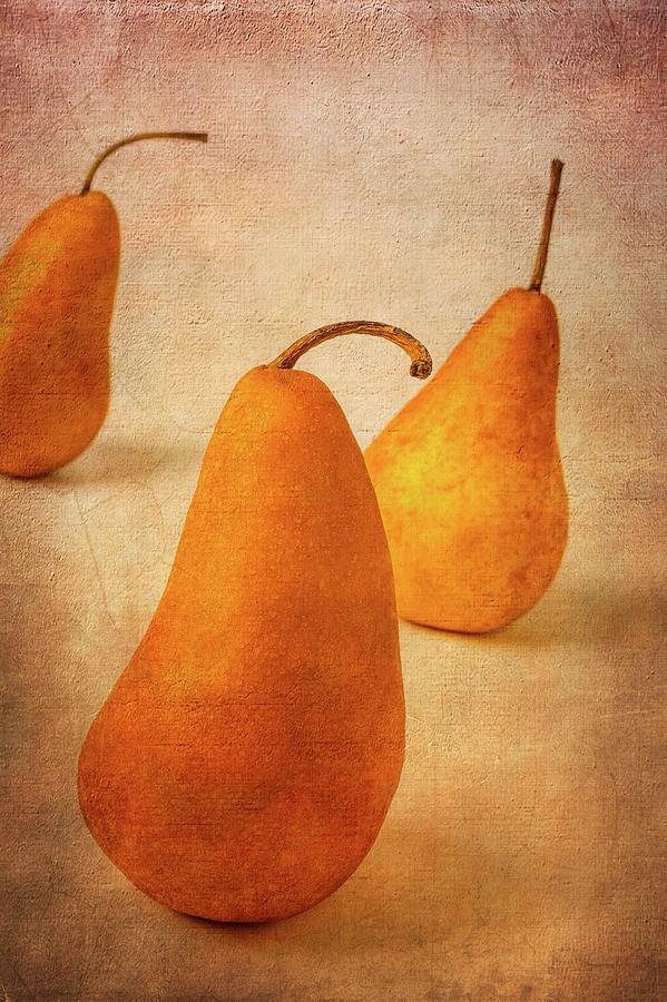 Pear Photograph - Three Textured Pears by Garry Gay