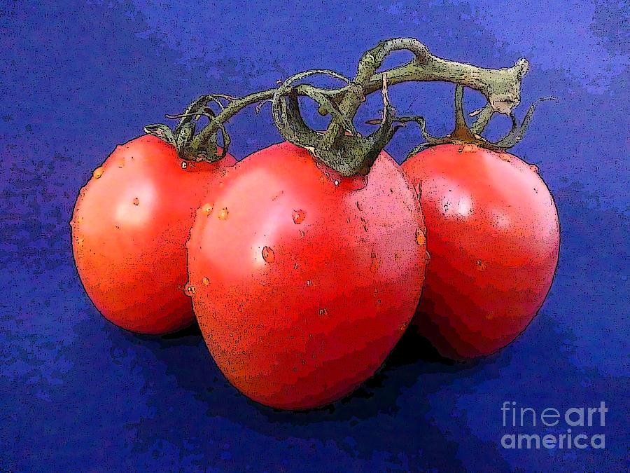 Three Tomatoes Photograph by Barbie Corbett-Newmin