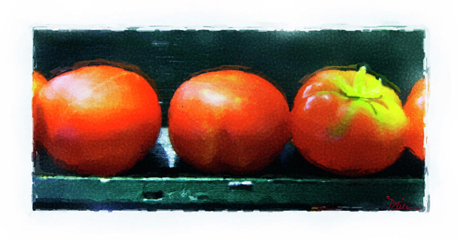 Three Tomatoes  Photograph by Peggy Dietz