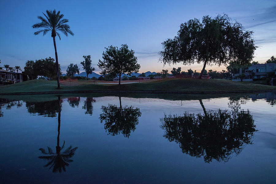 Three Tree Reflection at Sunrise in Scottsdale Photograph by Anthony Doudt