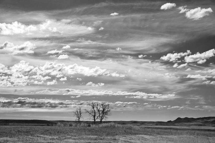 Three Trees Backlit Sky Black and White Photograph by Allan Van Gasbeck