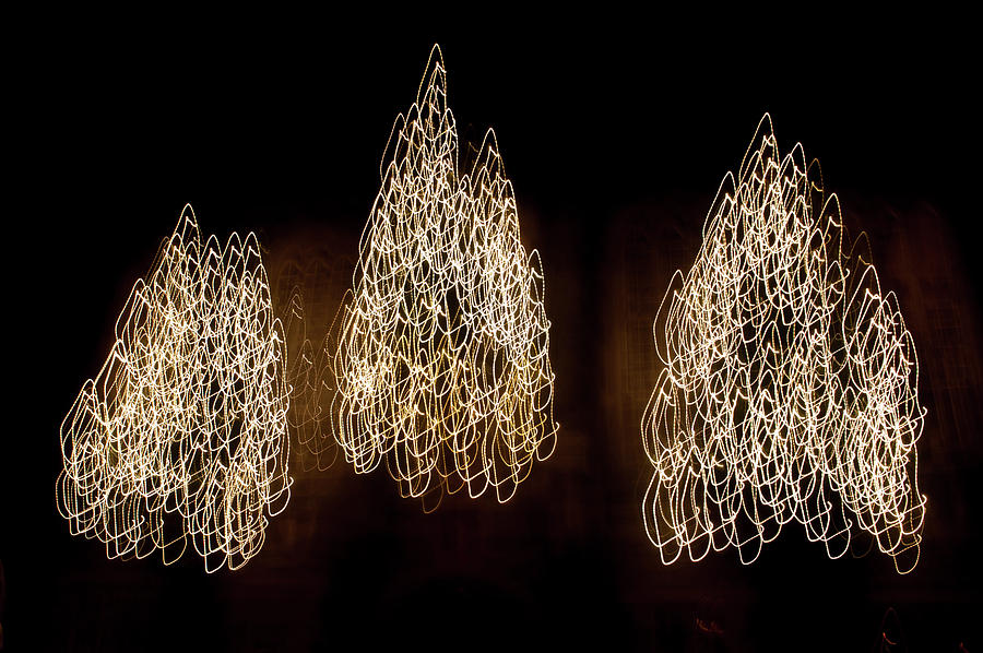 Three Trees of Light Photograph by Helen Jackson