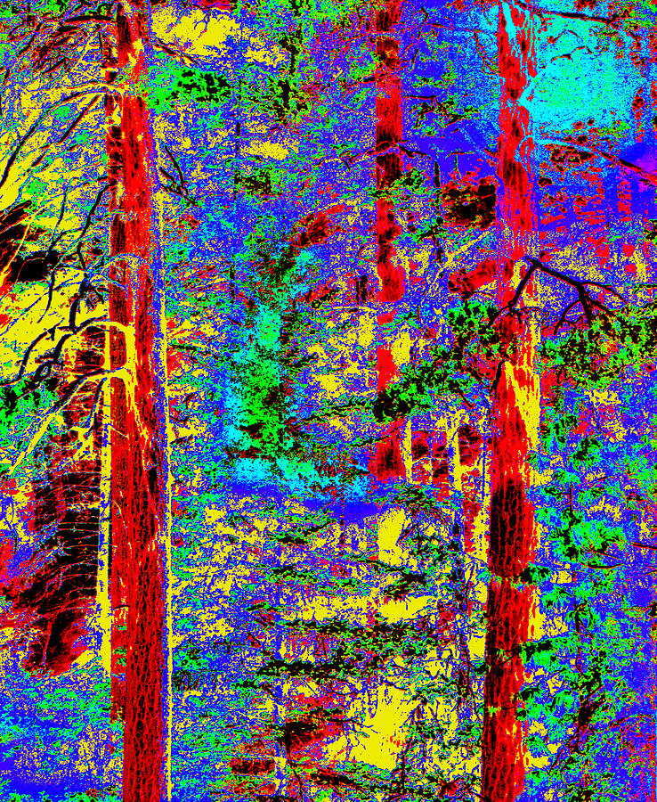 Abstract Digital Art - Three Trees of Oak Creek Canyon II by Joe Hoover