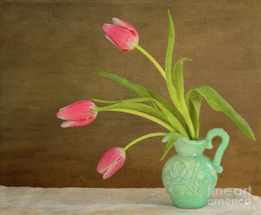 Three Tulips Photograph by Alana Ranney