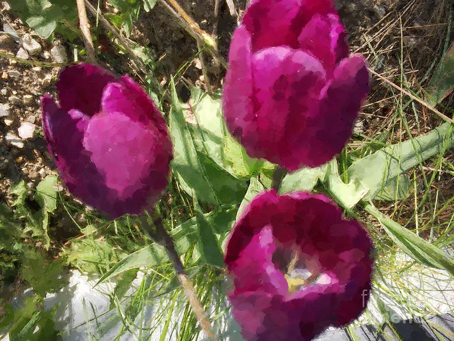 Three Tulips Painted Photograph by Barbara A Griffin