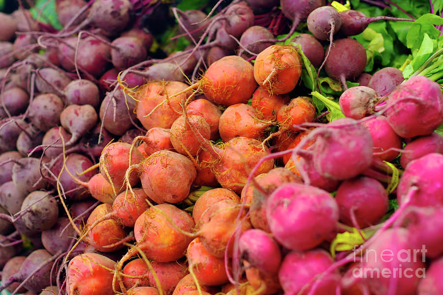 Three Types Of Beets Photograph by Bruce Block
