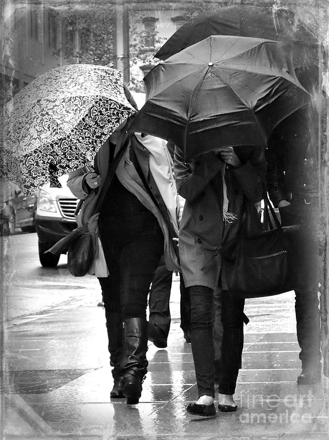 Three Umbrellas - Rainy Day Photograph by Miriam Danar