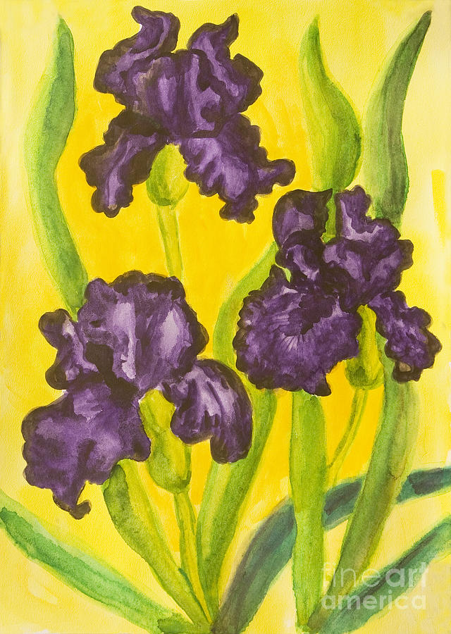 Three violet irises, watercolor Painting by Irina Afonskaya