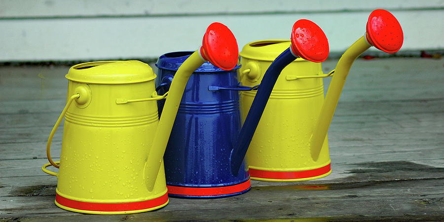 Three Watering Cans Photograph by Jerry Griffin