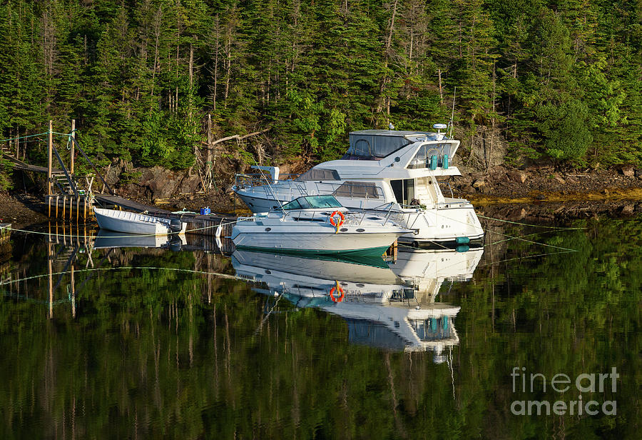 Boat Photograph - Three white boats by Les Palenik