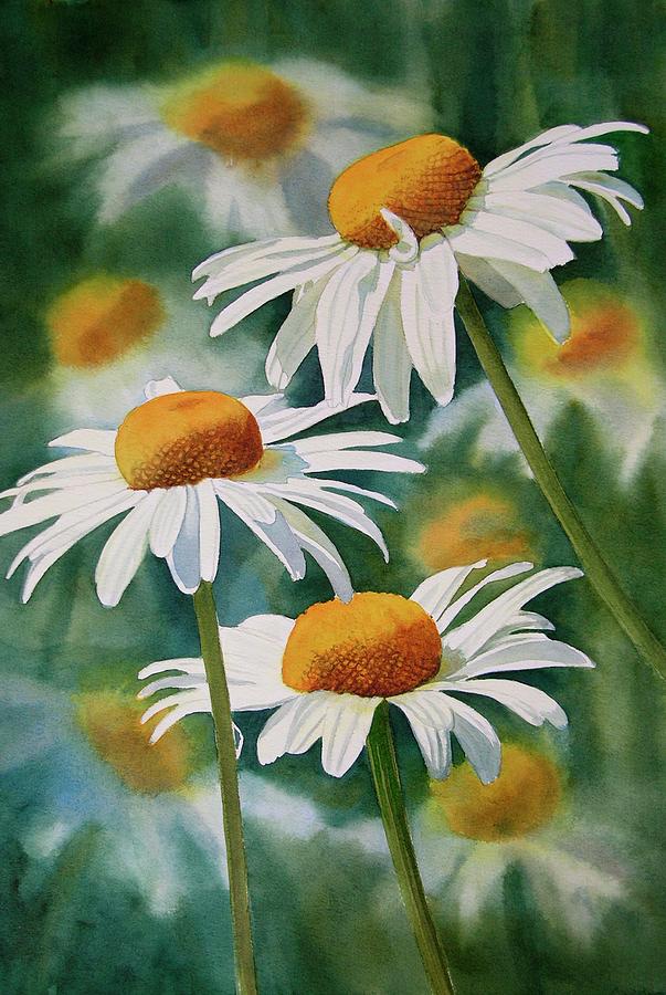 daisy paintings