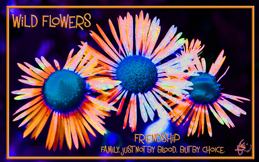 Flowers Still Life Digital Art - Three Wild Flowers Friendship by Judy Fry