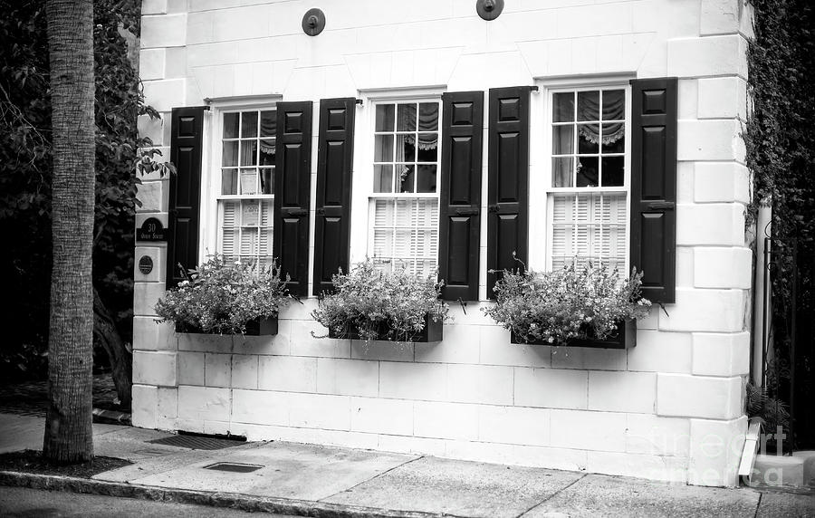 Three Windows in Charleston Photograph by John Rizzuto