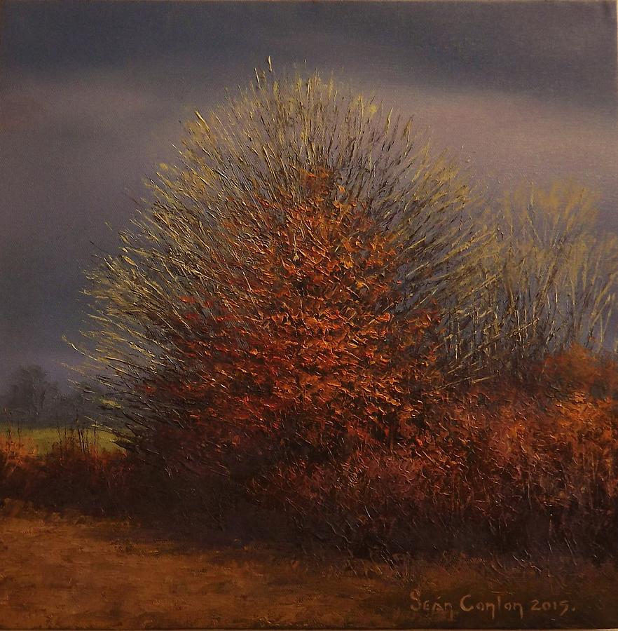 Tree Painting - Three Winter Trees by Sean Conlon