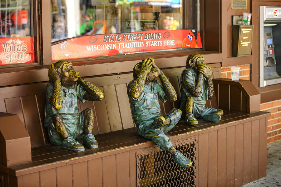 Three Wise Monkeys Photograph by Chris Smith