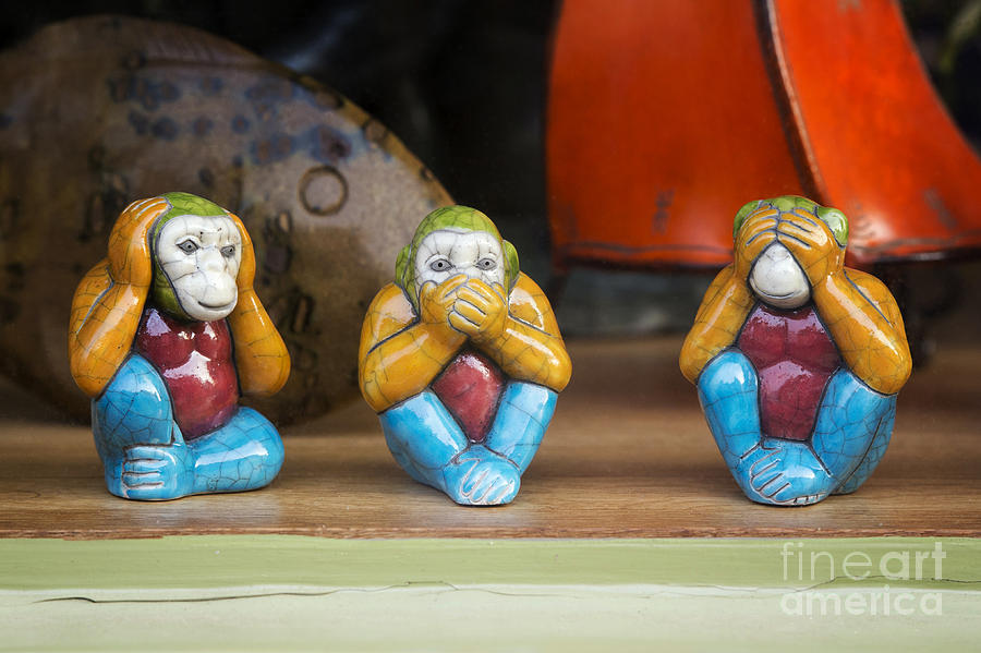 Monkey Photograph - Three Wise Monkeys by Tim Gainey