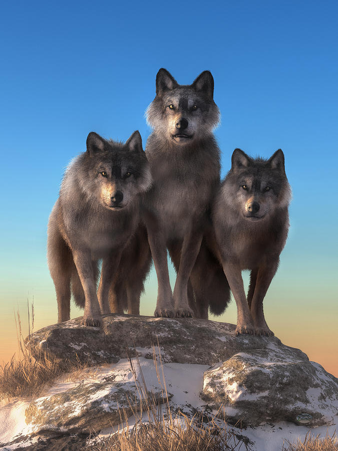Three Wolves Watching You Digital Art by Daniel Eskridge