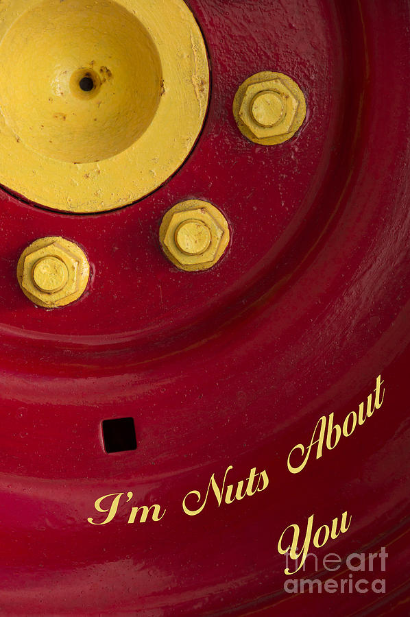 Three Yellow Nuts On A Red Wheel-Im Nuts About You Card Photograph by Wendy Wilton