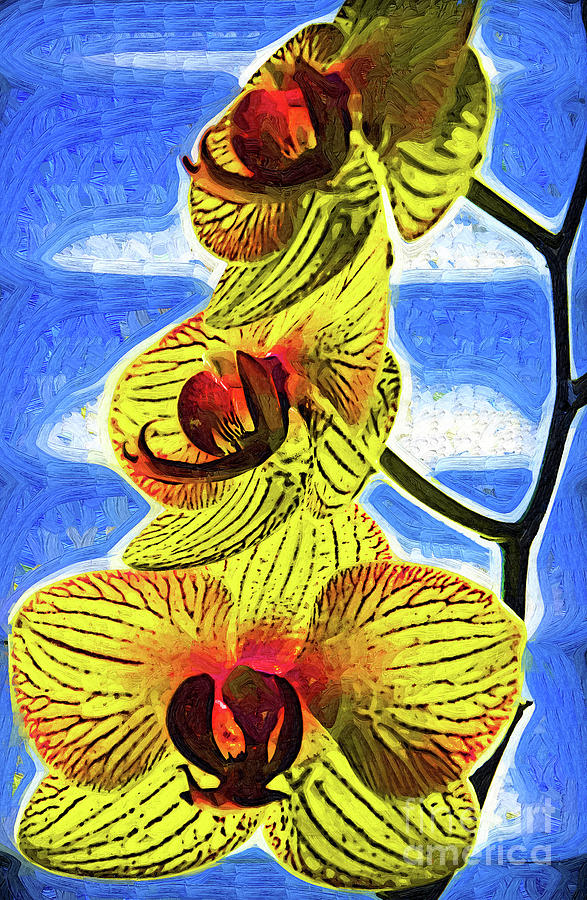 Three Yellow Orchid Blooms Digital Art by Kirt Tisdale