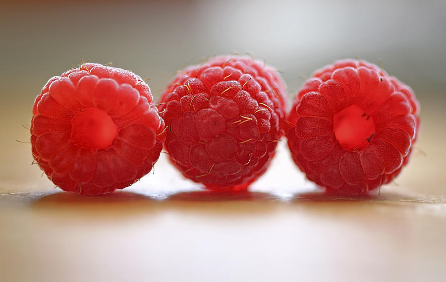 Raspberry Photograph - Threes Company by Evelina Kremsdorf