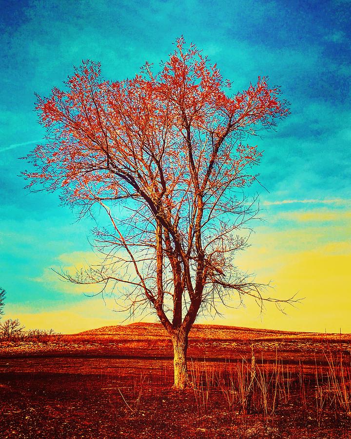 Thriving Tree Surrealism Photograph by Michael Oceanofwisdom Bidwell
