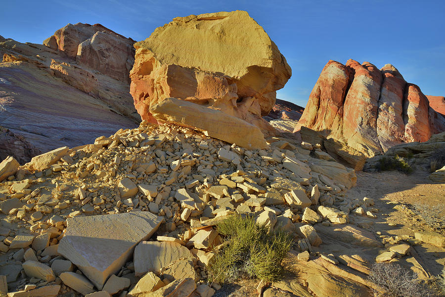 Throne and Domes in Valley of Fire Photograph by Ray Mathis