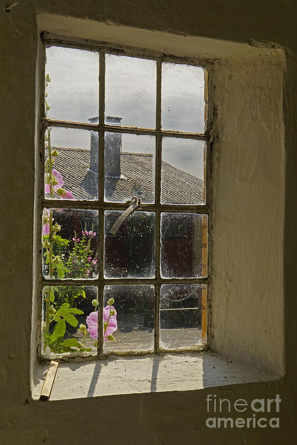 Through the barn window Photograph by Inge Riis McDonald