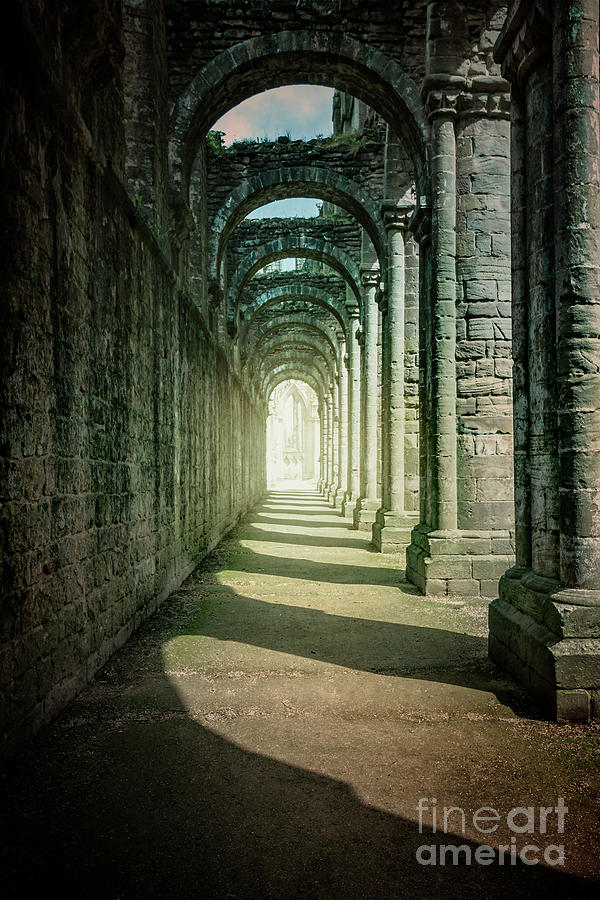 Through The Colonnade Photograph by Evelina Kremsdorf