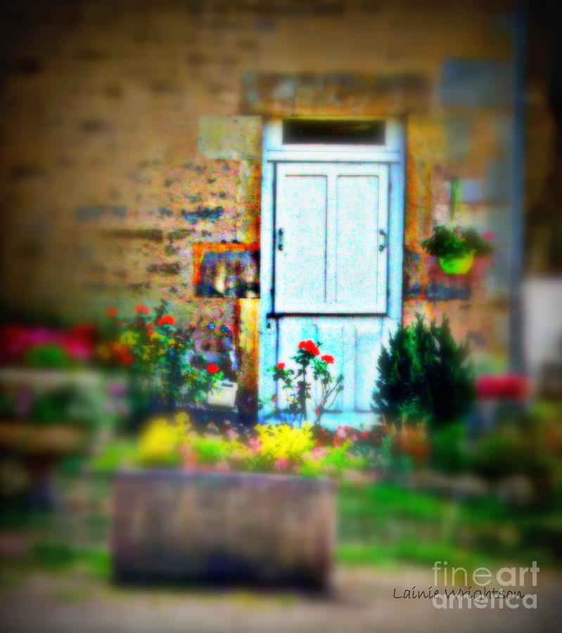 Through the Cottage Garden Photograph by Lainie Wrightson