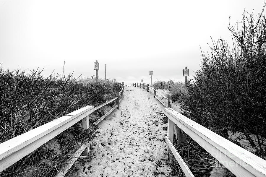Through the Dune at Beach Haven Photograph by John Rizzuto
